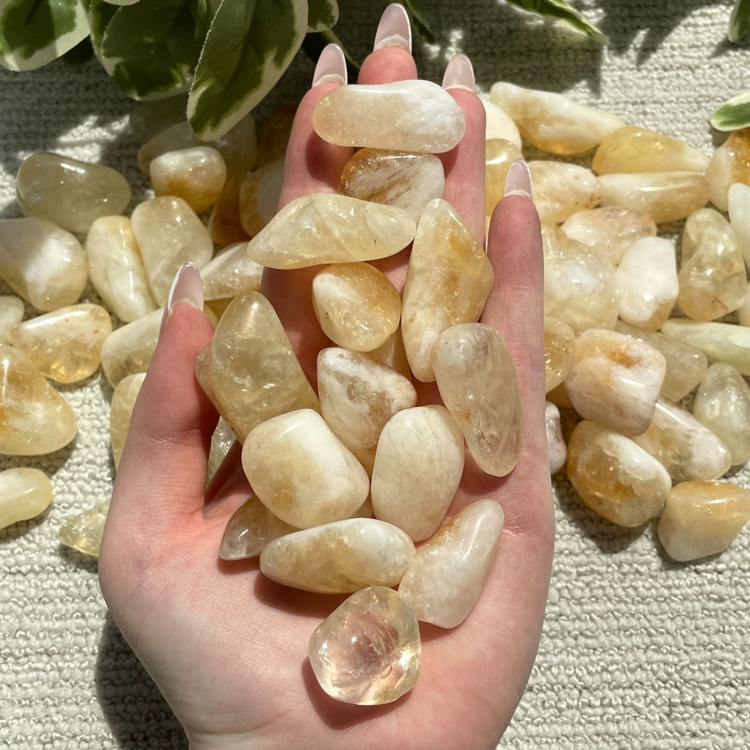 Citrine Tumbled - 1KG (100-120pc) Citrine Tumbled - 1KG (100-120pc)